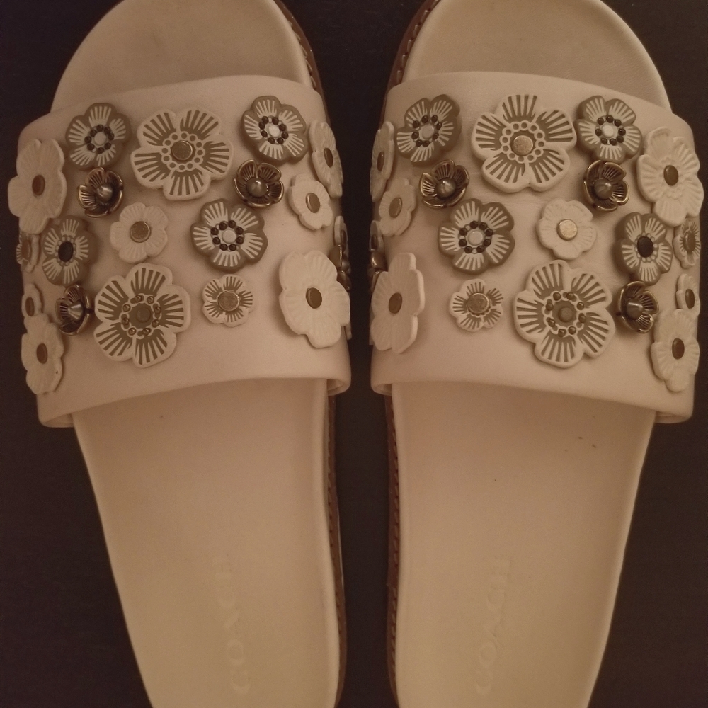 Coach embellished slide